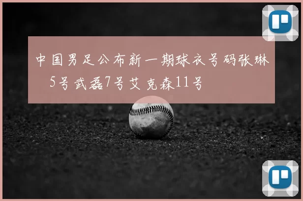中国男足公布新一期球衣号码张琳芃5号武磊7号艾克森11号