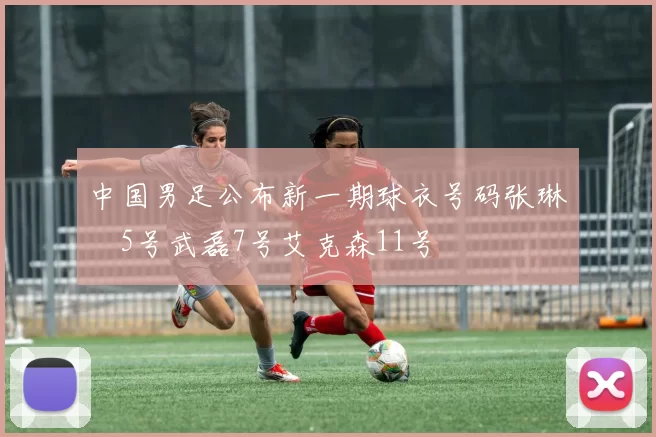 中国男足公布新一期球衣号码张琳芃5号武磊7号艾克森11号
