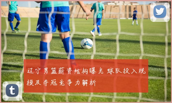 辽宁男篮薪资结构曝光 球队投入规模及夺冠竞争力解析
