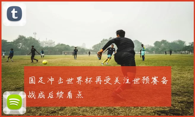 国足冲击世界杯再受关注世预赛备战成后续看点