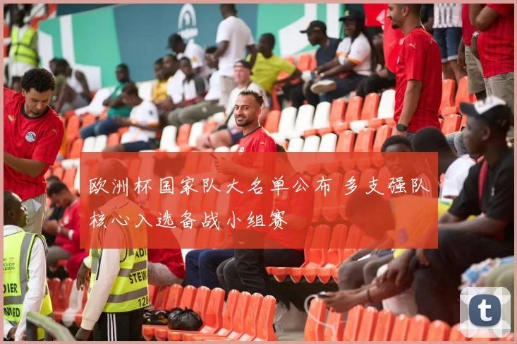 欧洲杯国家队大名单公布 多支强队核心入选备战小组赛