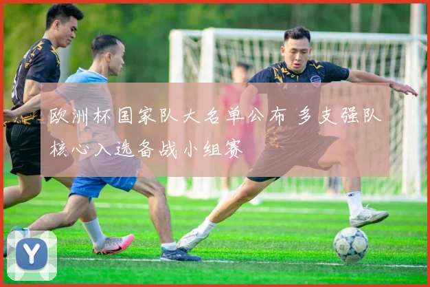 欧洲杯国家队大名单公布 多支强队核心入选备战小组赛