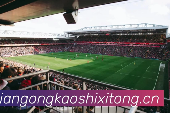 多媒体互动体验